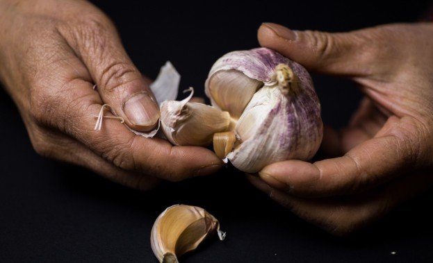 How Long Whole Garlic Bulbs Stay Fresh