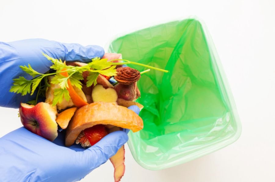 How to Reduce Food Waste Before It Reaches the Trash