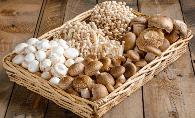How to Refrigerate Fresh Mushrooms