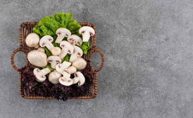 How to Store Dried Mushrooms