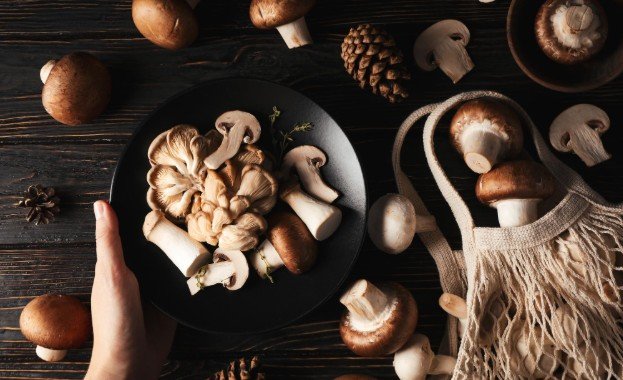 How to Store Mushrooms and Keep Them Fresh Longer