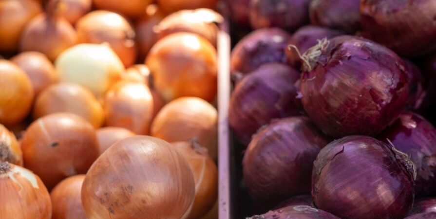 Shallots vs Onions: Differences, Uses and Easy Swaps